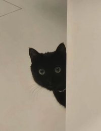 zzznn