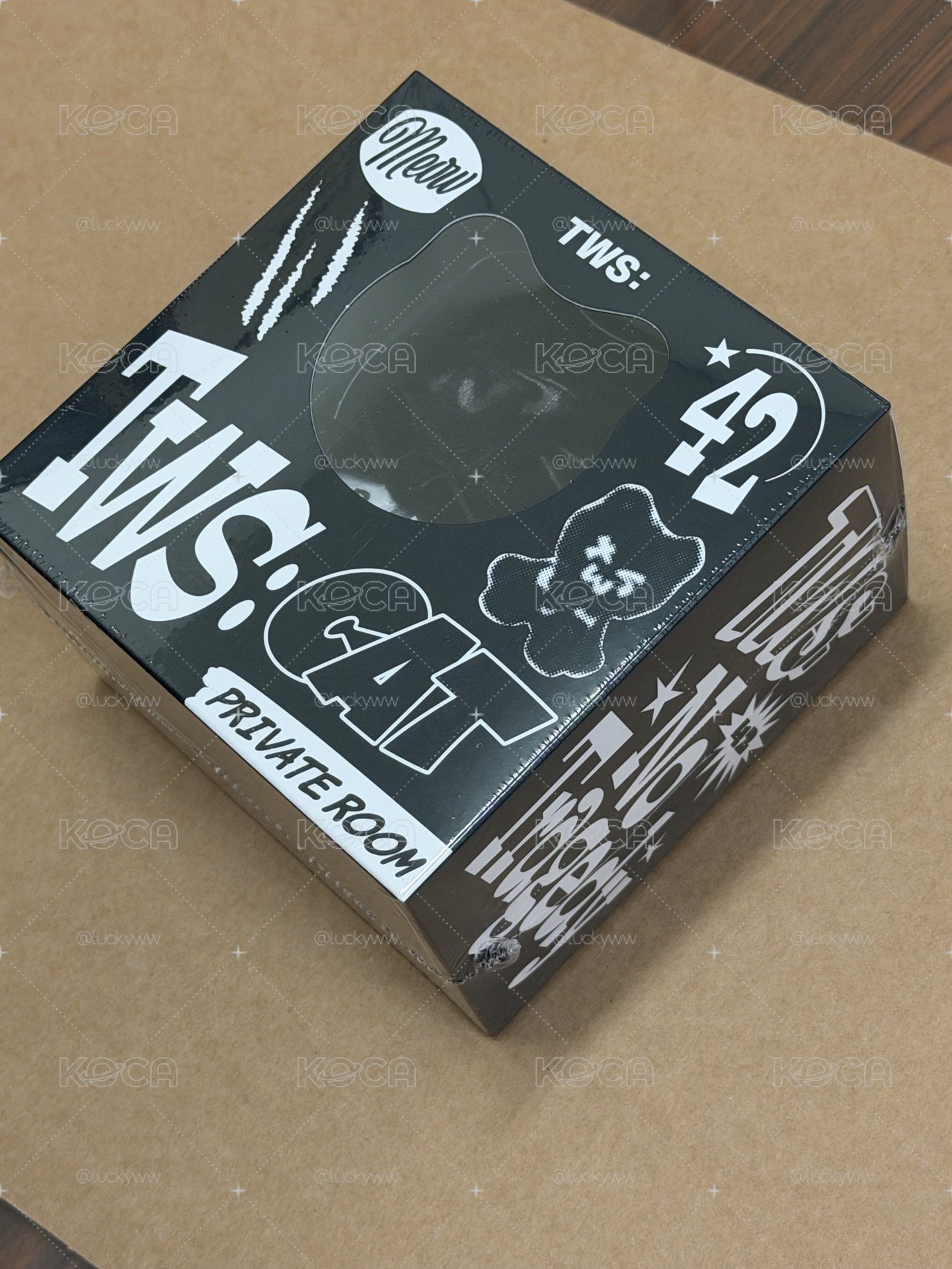Tws 娃專 全新未拆
