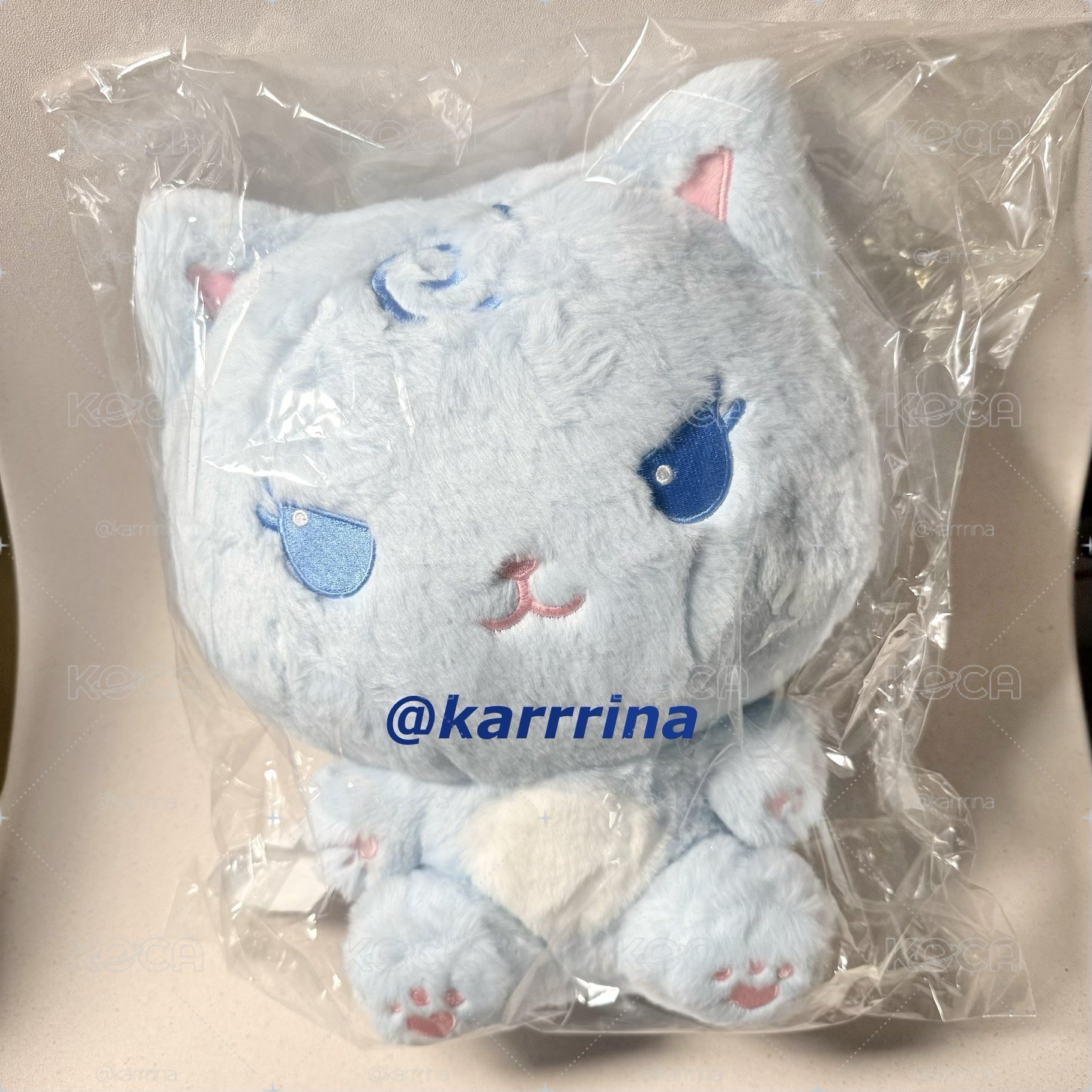 Karina 全新未拆30公分大娃