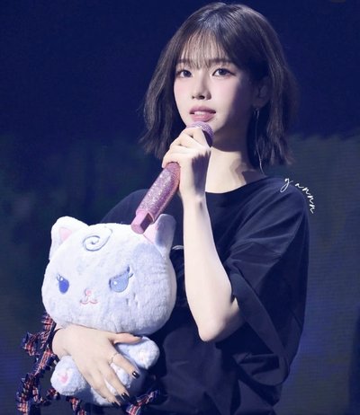 Karina 全新未拆30公分大娃