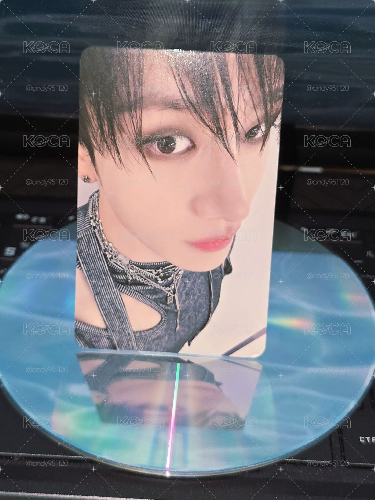 這是誰家小狗