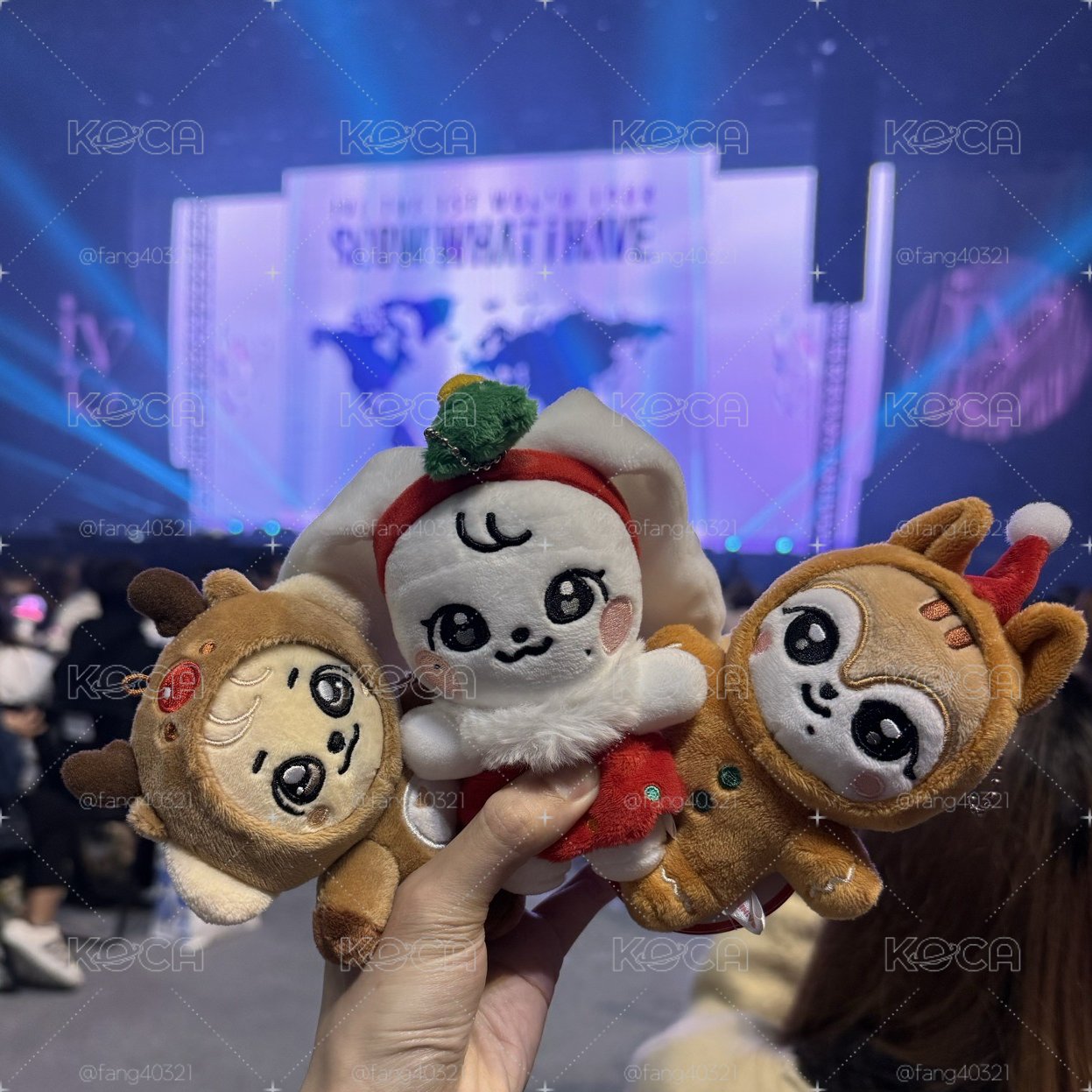 聖誕安娃小盤🎄