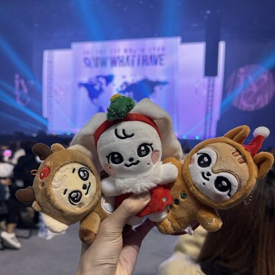 聖誕安娃小盤🎄