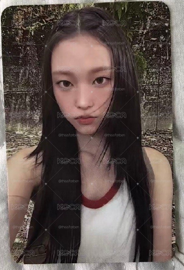 貓貓 打歌卡