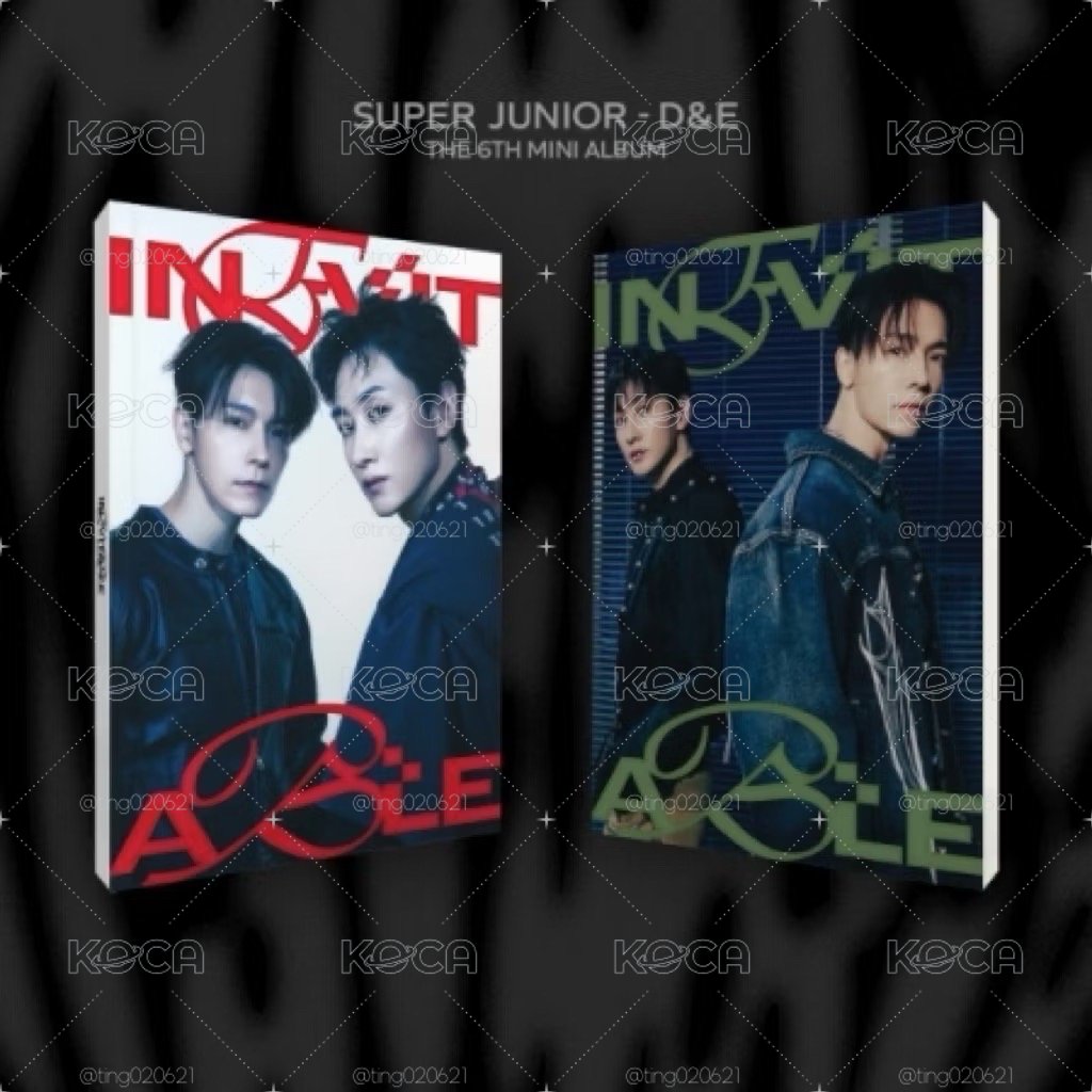 空專 SUPER JUNIOR D&E 第6張 迷你專輯 INEVITABLE 東海 銀赫