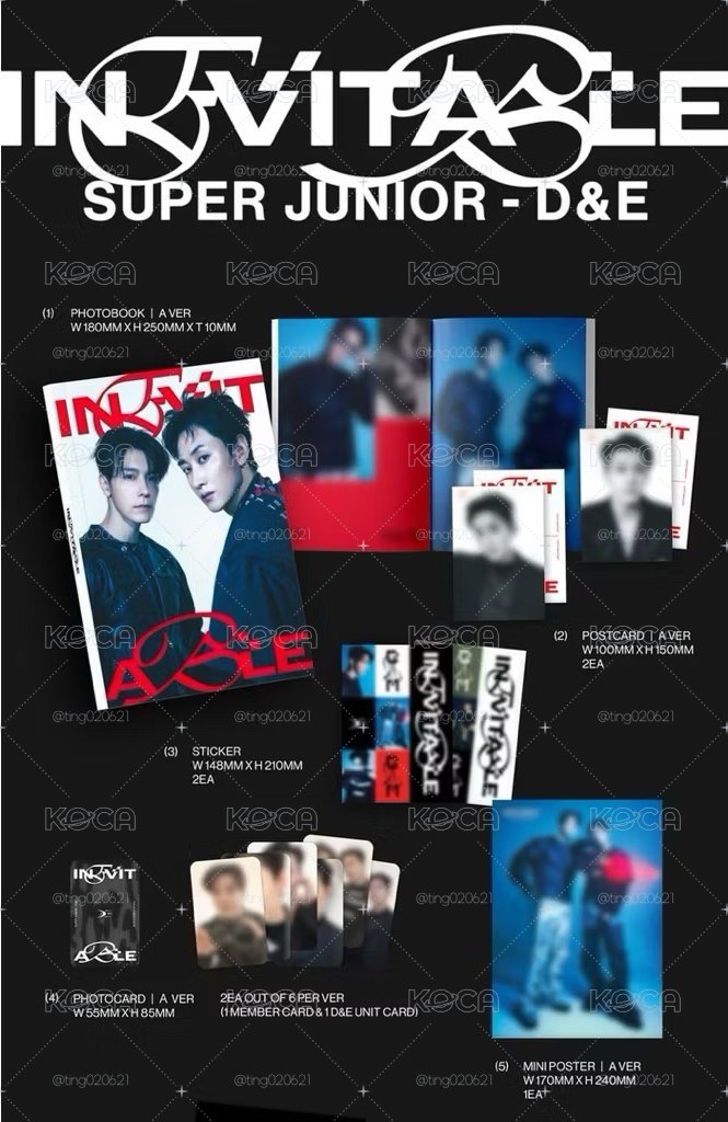 空專 SUPER JUNIOR D&E 第6張 迷你專輯 INEVITABLE 東海 銀赫
