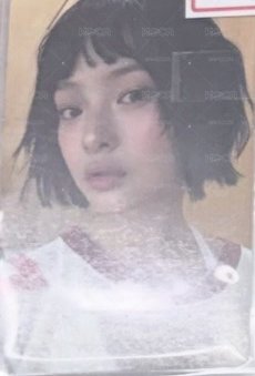 哈尼卡