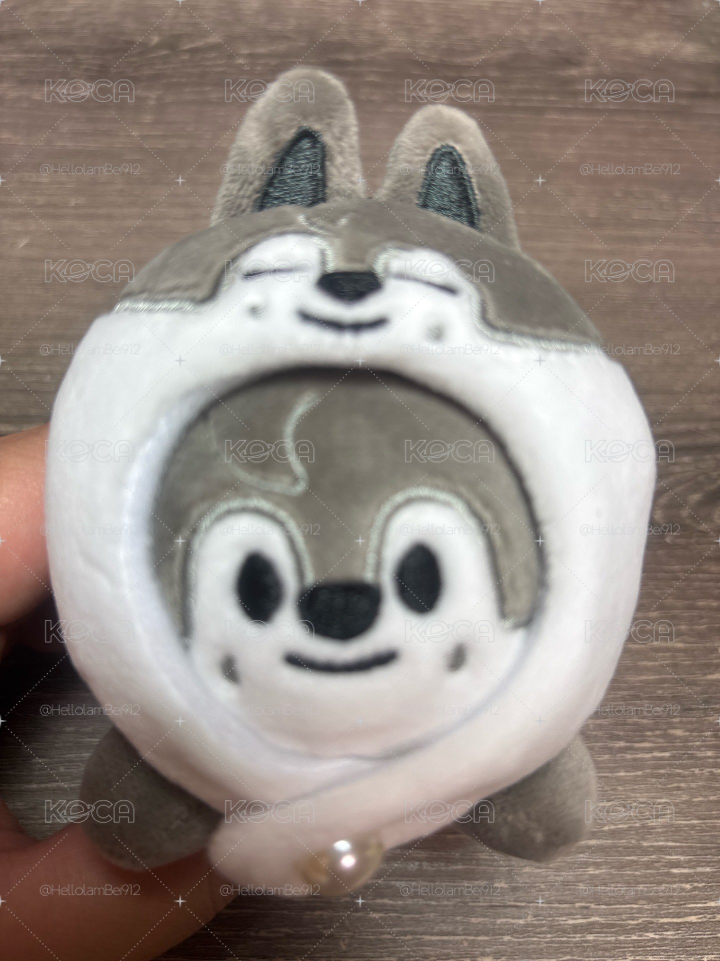 趴娃燦