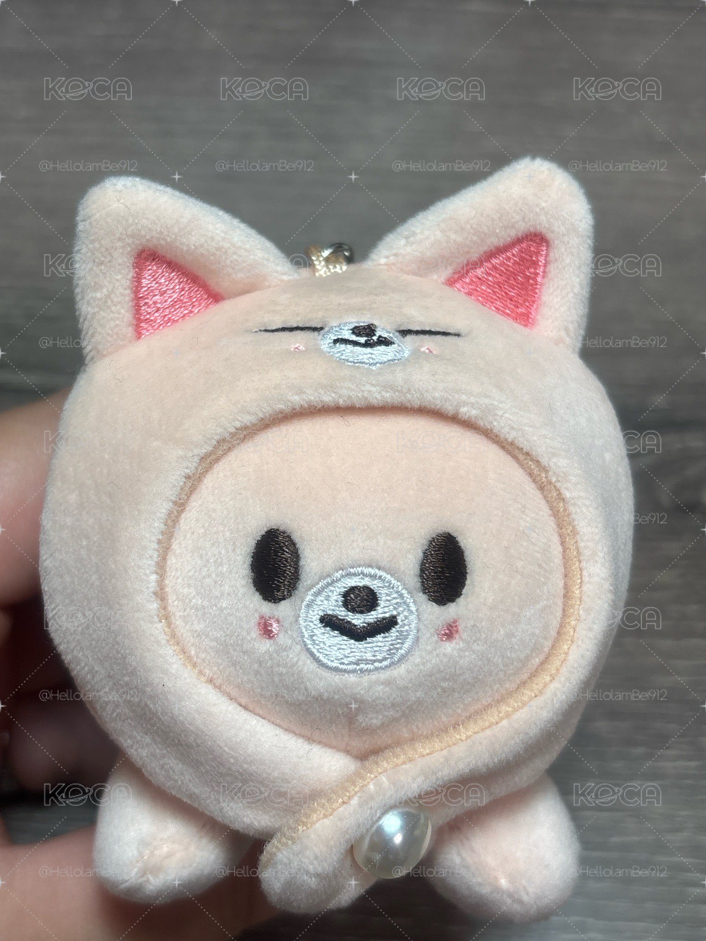 趴娃寅