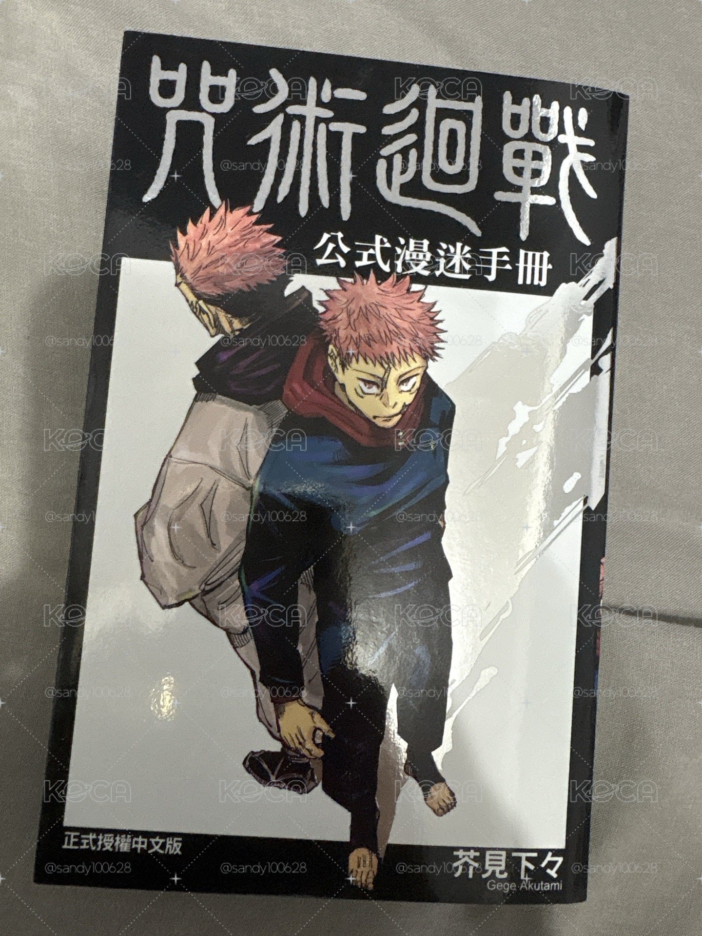 咒術-公式漫迷手冊