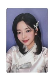 韓服粒