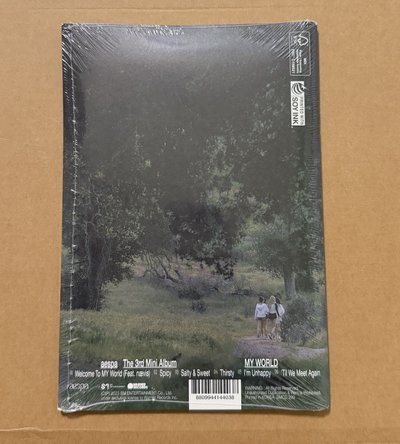 MY WORLD Zine版