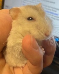 收藏不如下單