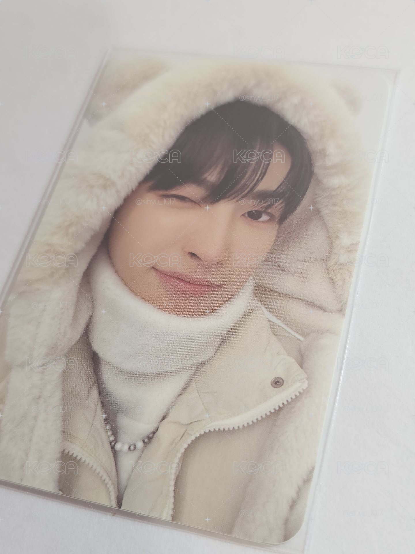 冬日卡冊中☃️❄️