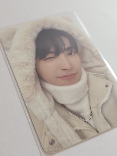 冬日卡冊中☃️❄️