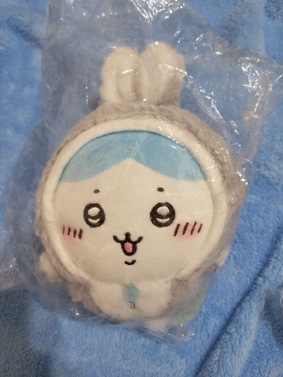 兔年小八含綁
