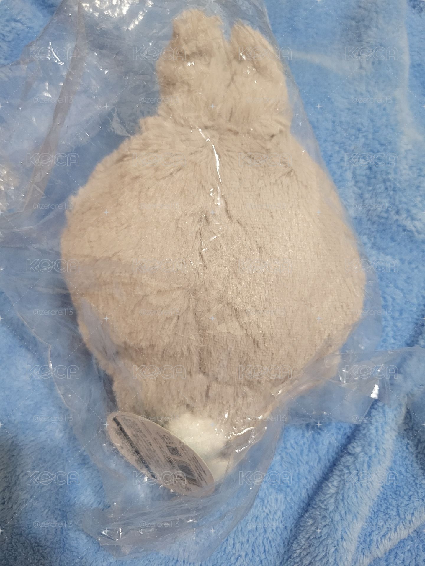 兔年小八含綁