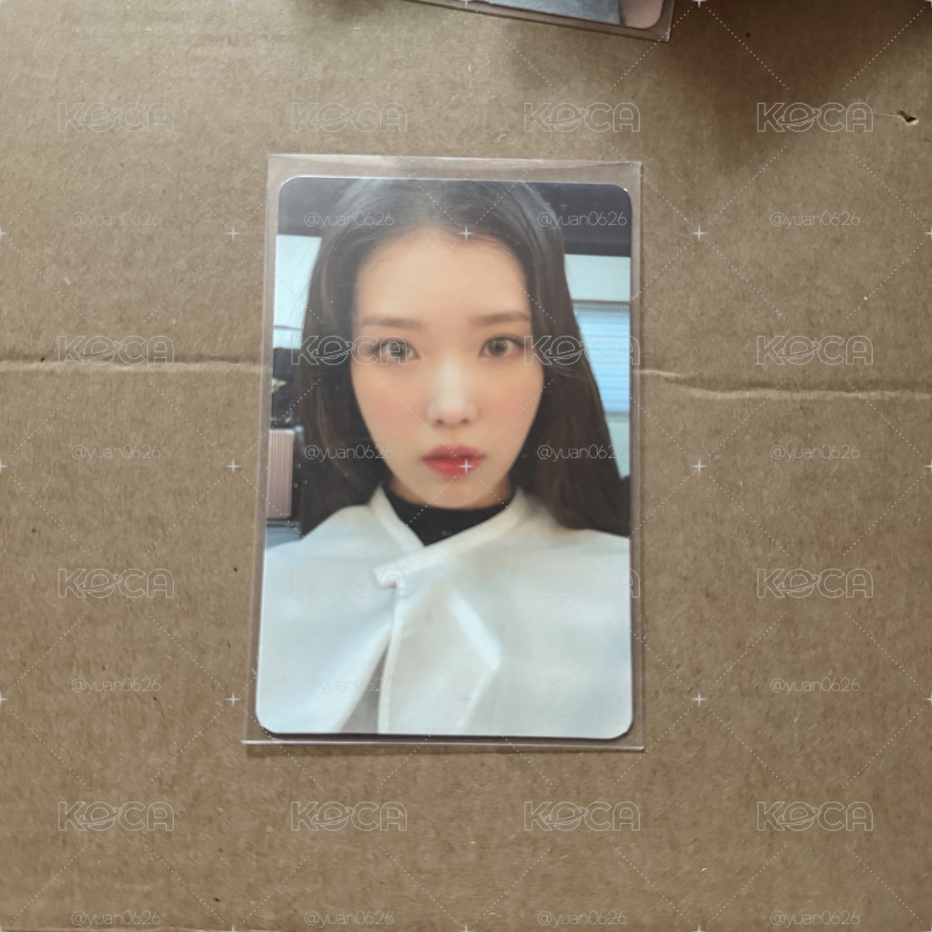 IU 李知恩 Celebrity 鐵盒小卡 小卡 鐵盒卡