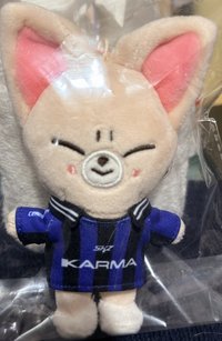寅-KARMA電子專娃（無原袋，未掃）