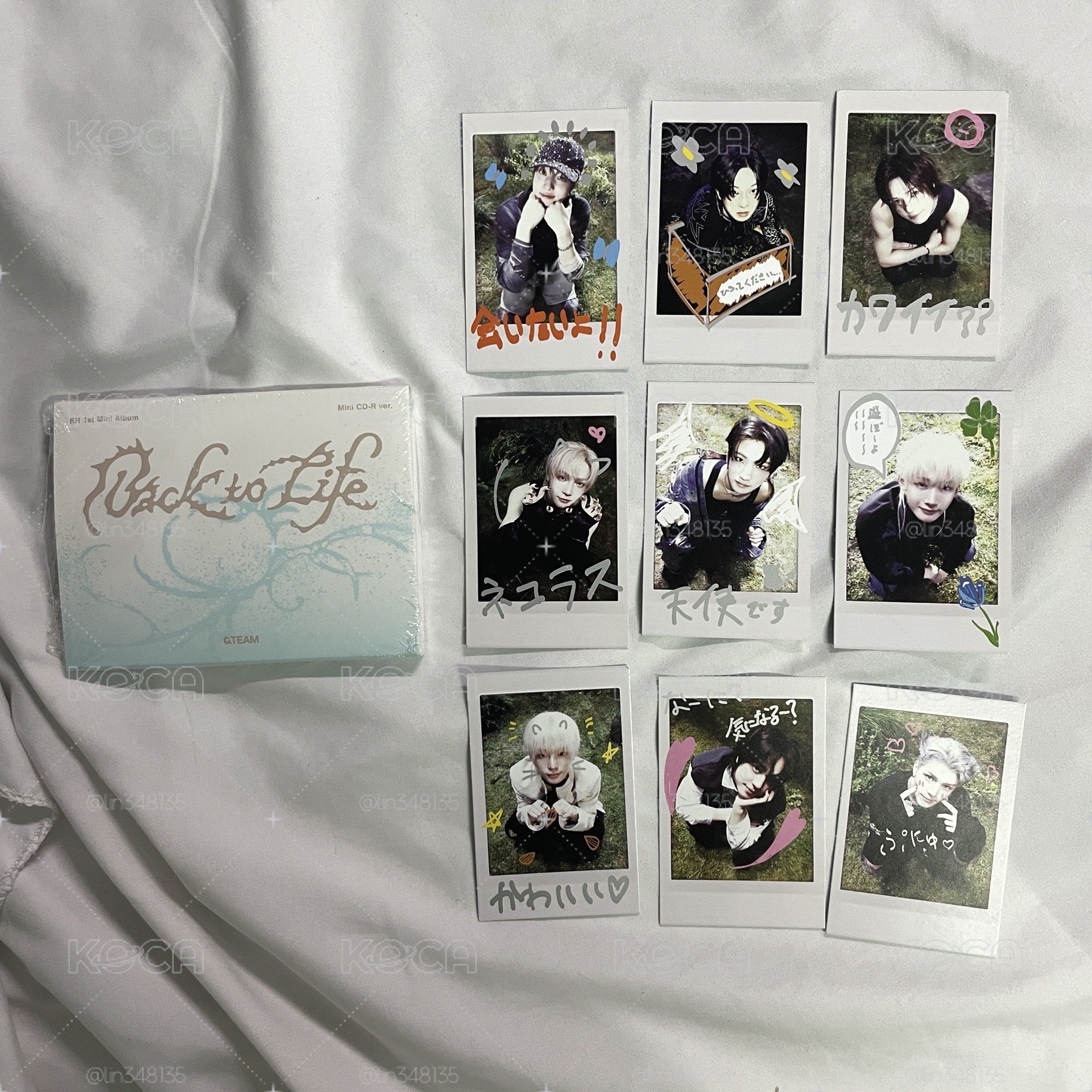 Back to life mini-CD 空專 （有拍立得）