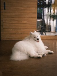 蛋糕滿天飛🩵