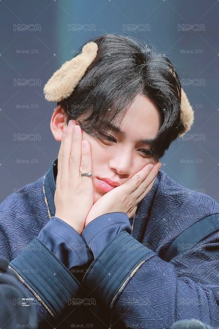 🥔Mingyu🥔