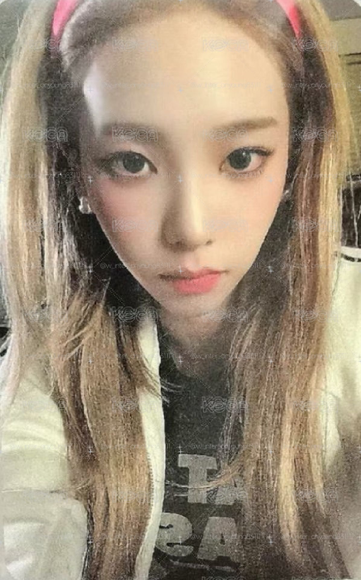 芭比中背柚