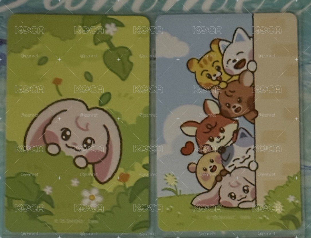 渽民 小卡