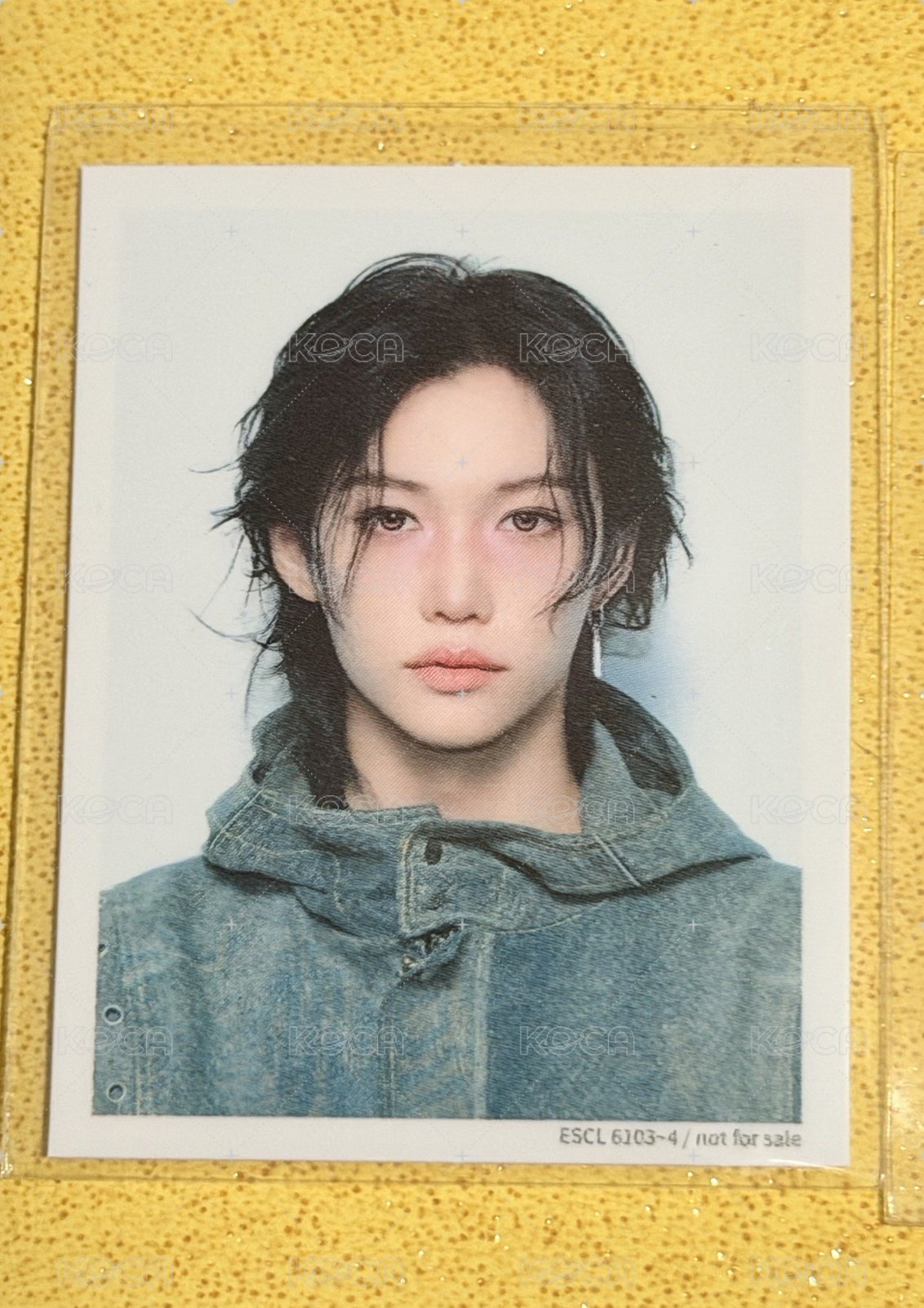 菲-Hollow證件照