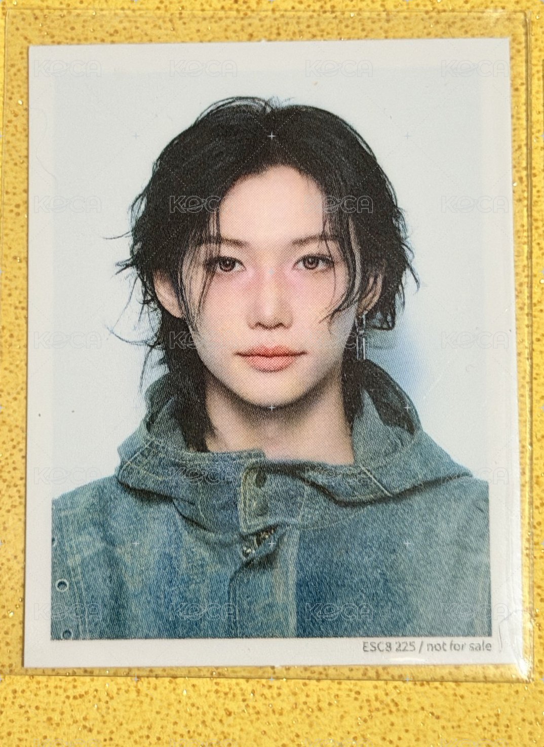 菲-Hollow FC盤證件照