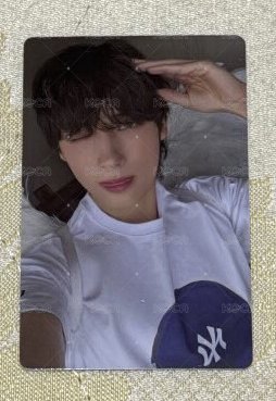 天使小狗