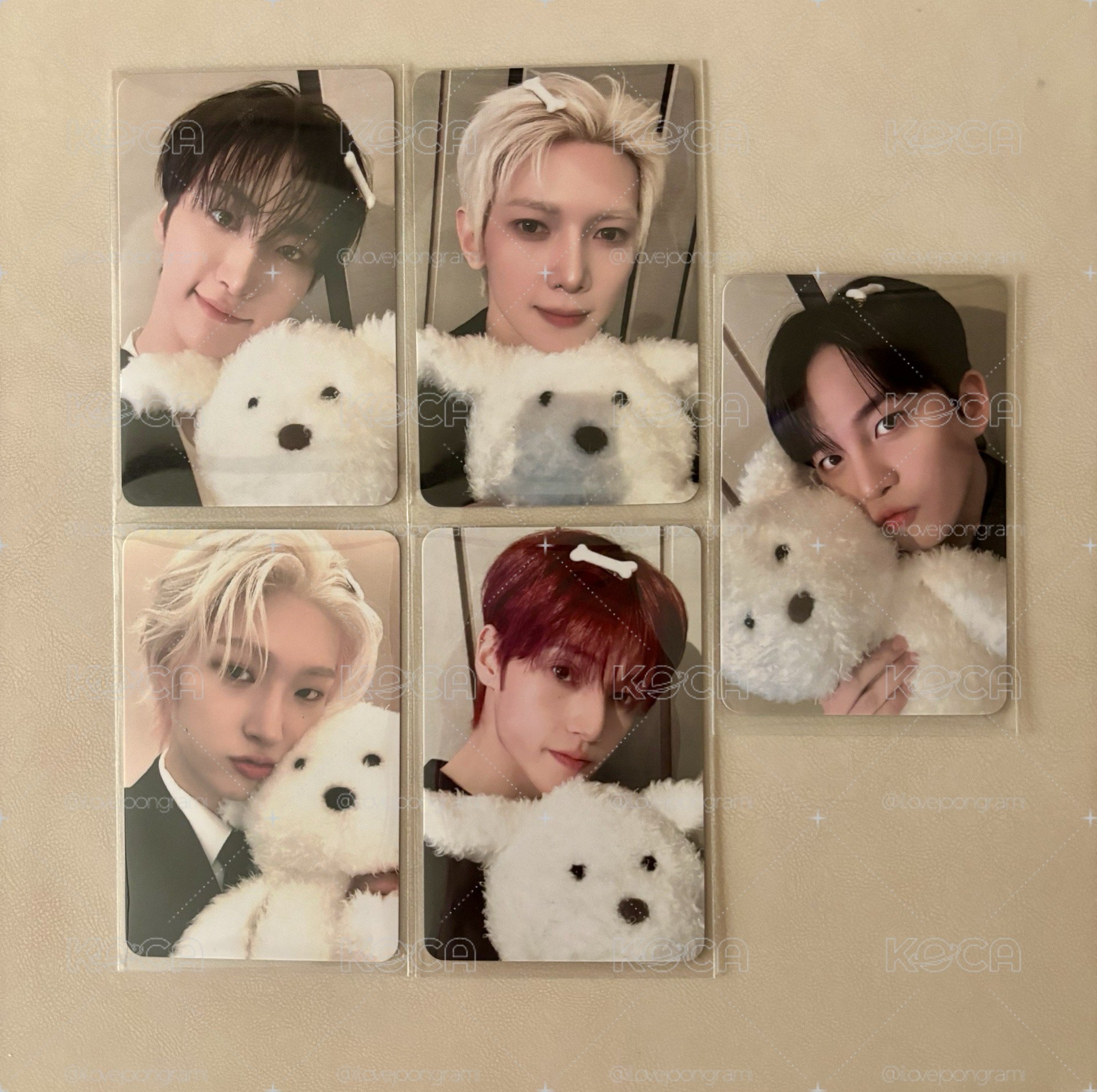 ATEEZ 星尚旼榮鍾 狗狗卡🐶