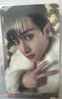 毛絨燦