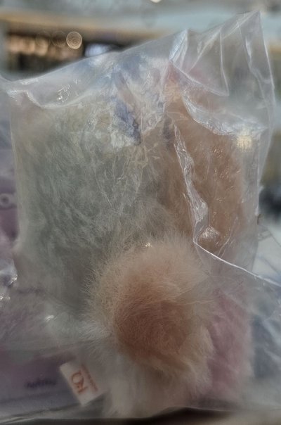 ANITEEZ彩色寶寶娃-中