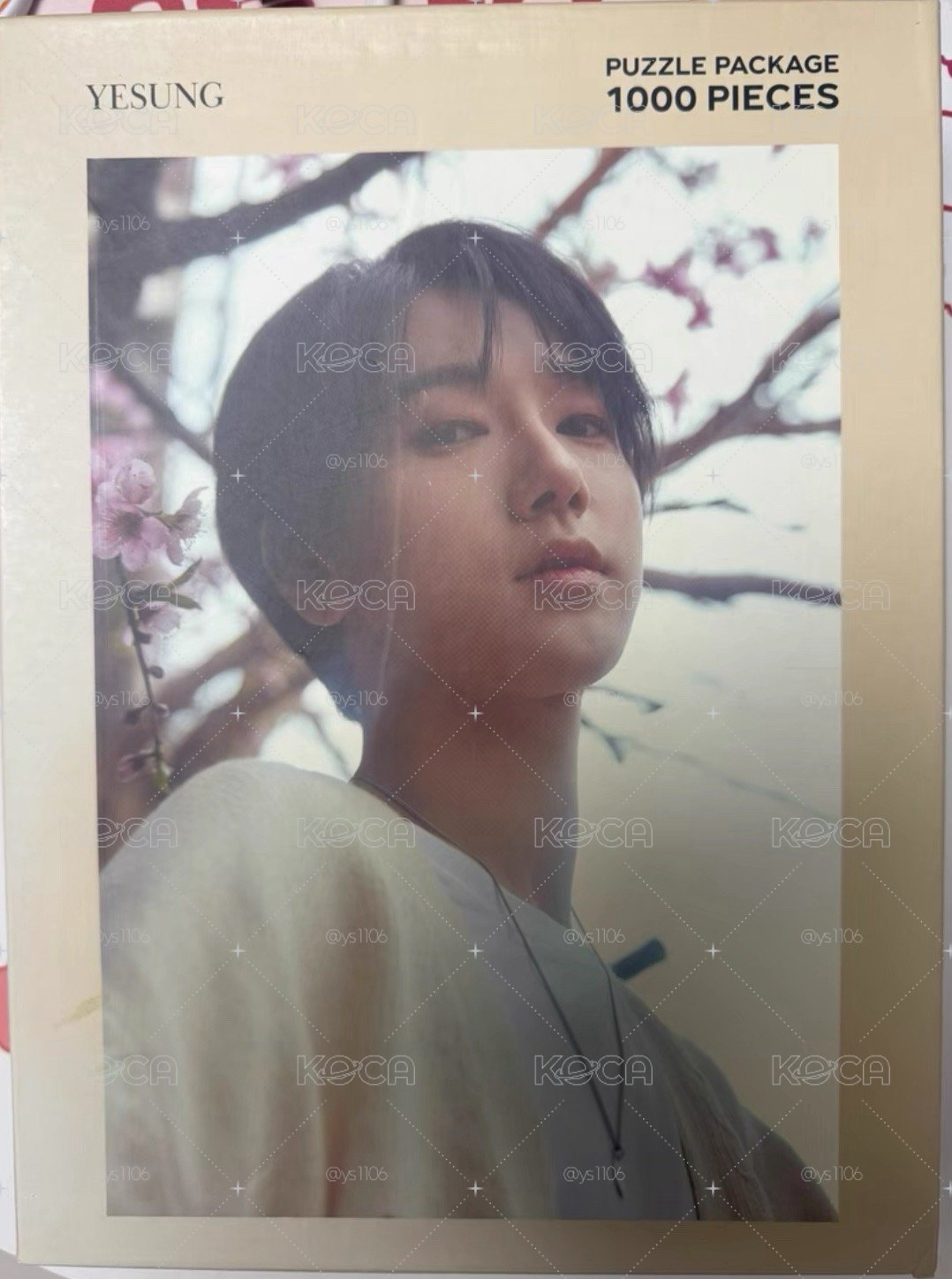 SUPER JUNIOR 藝聲 KRY 拼圖