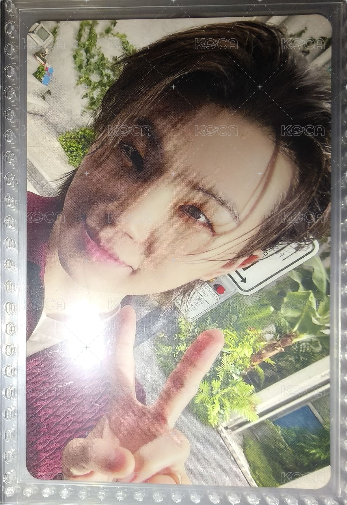 Woozi 小卡