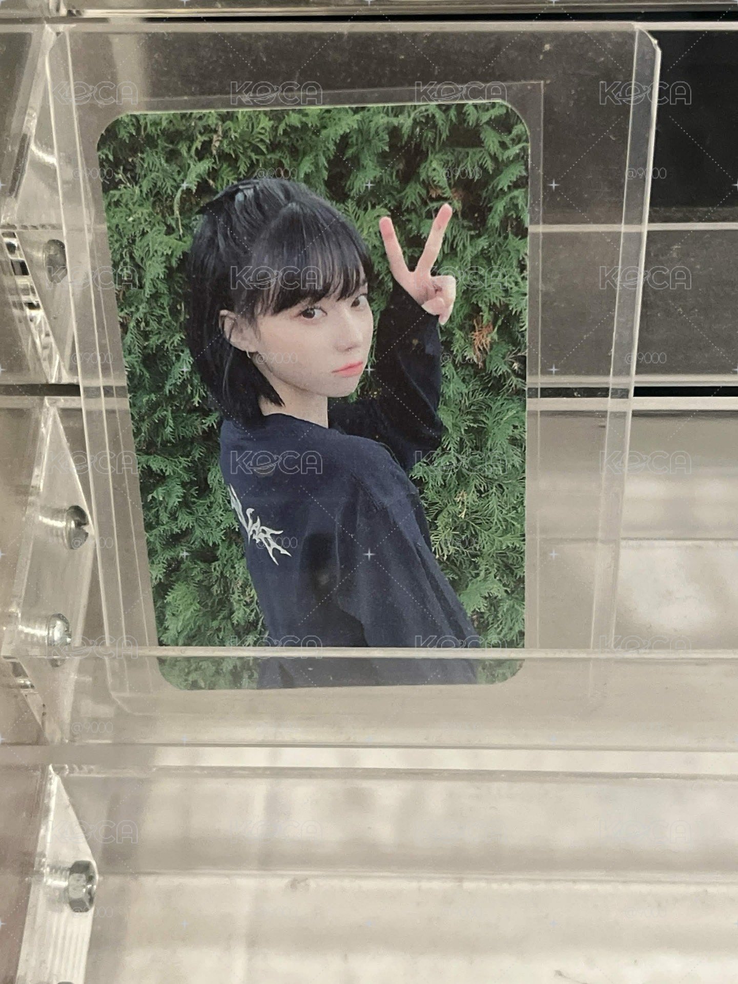 Savage  美網 綠牆冬