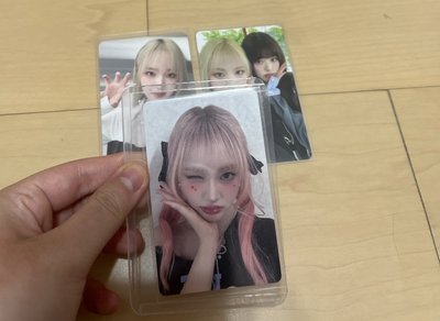 粉髮栗小盤