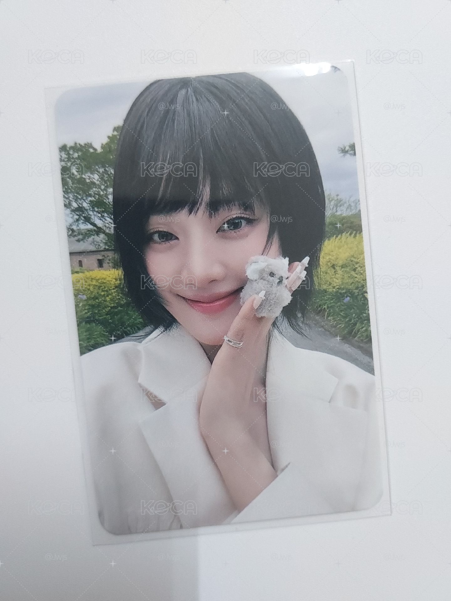 無尾熊妮