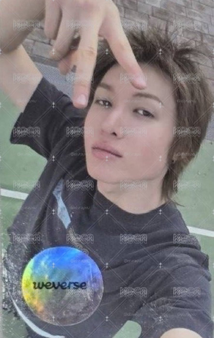 倒耶馬丁