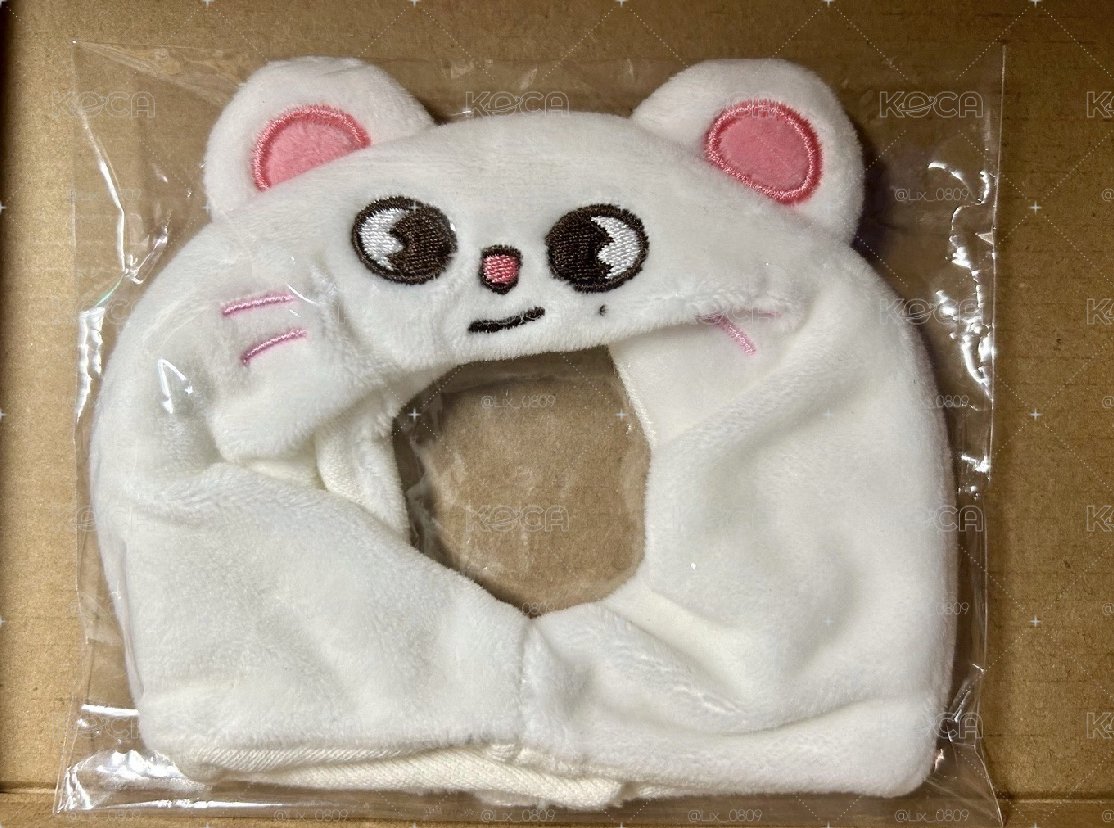 辰手燈套