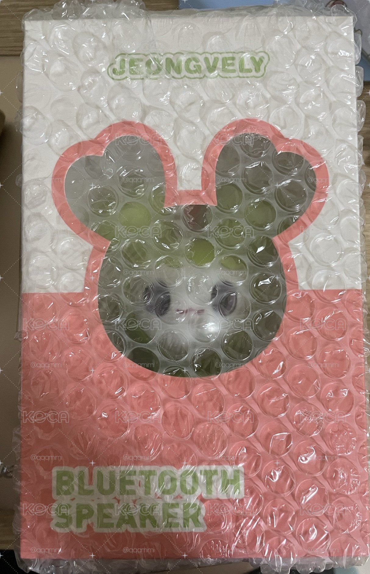 定藍牙