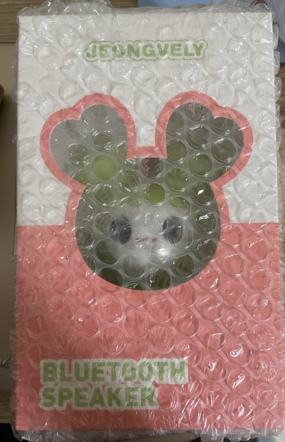 定藍牙