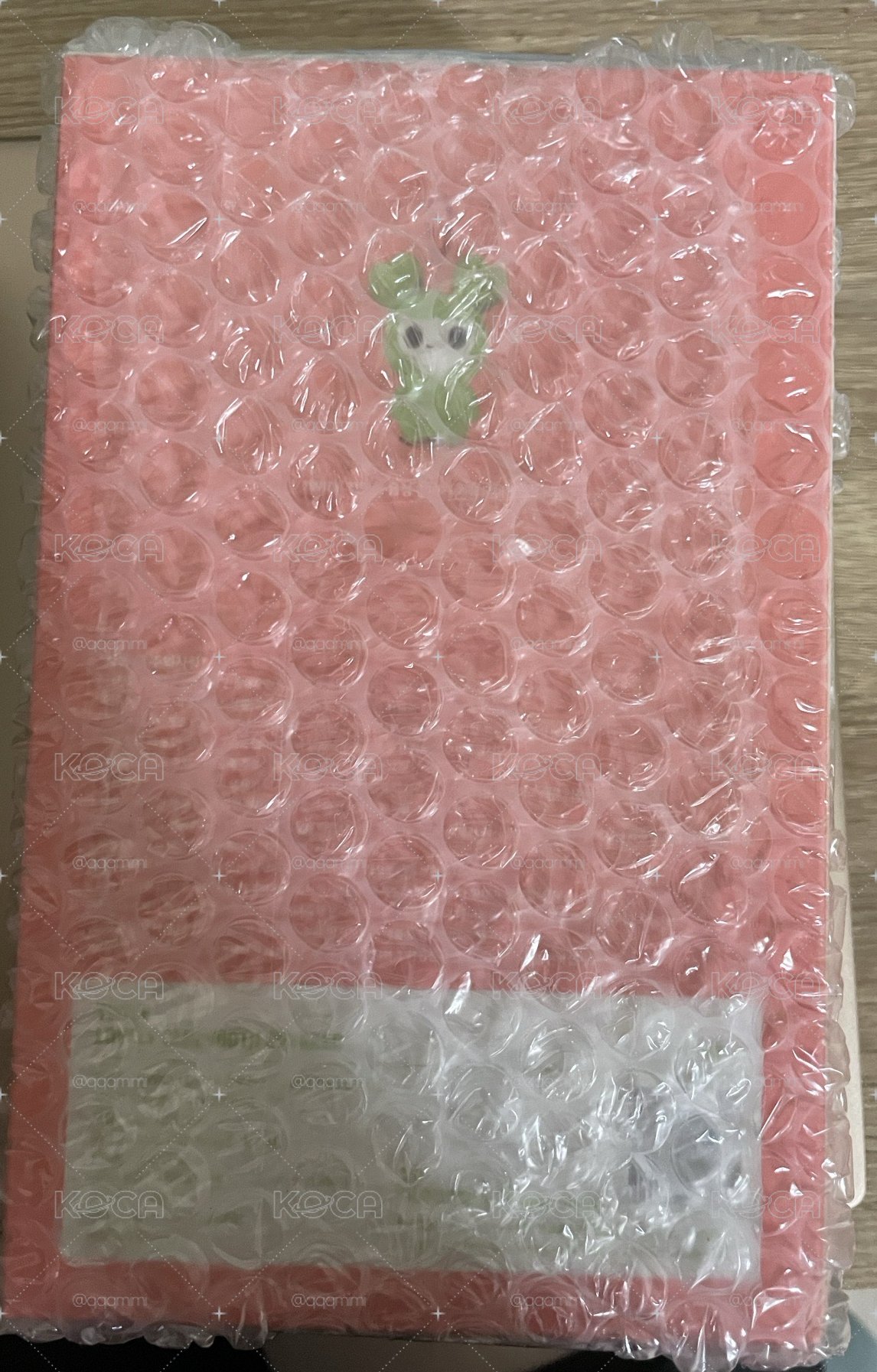 定藍牙