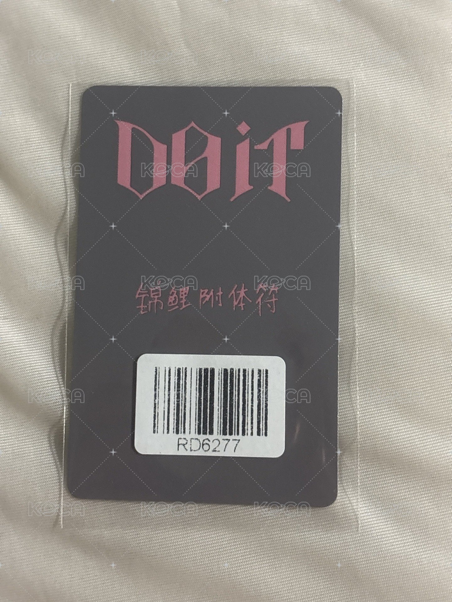 DOIT中背(錦鯉)
