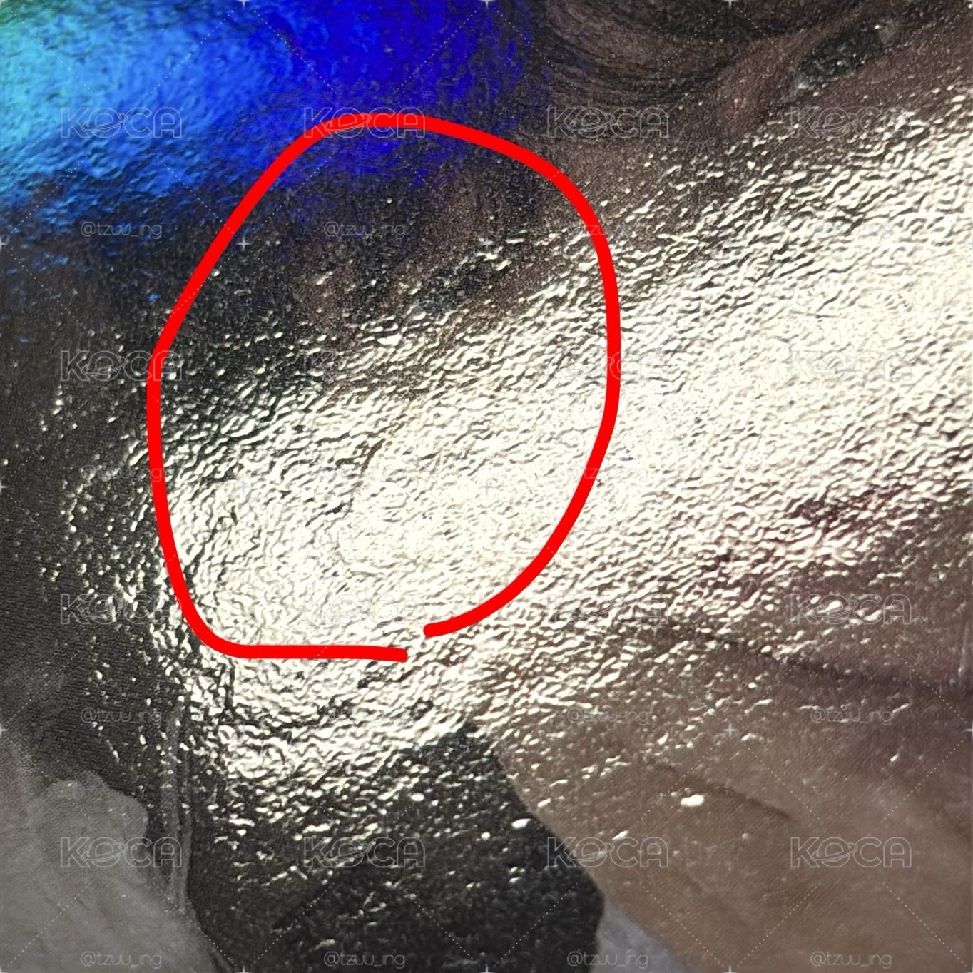 迷七wvs單封特典一套（*竣圭寧有損）
