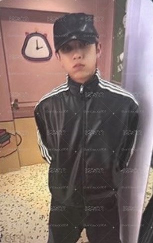 鼓嘴金栗