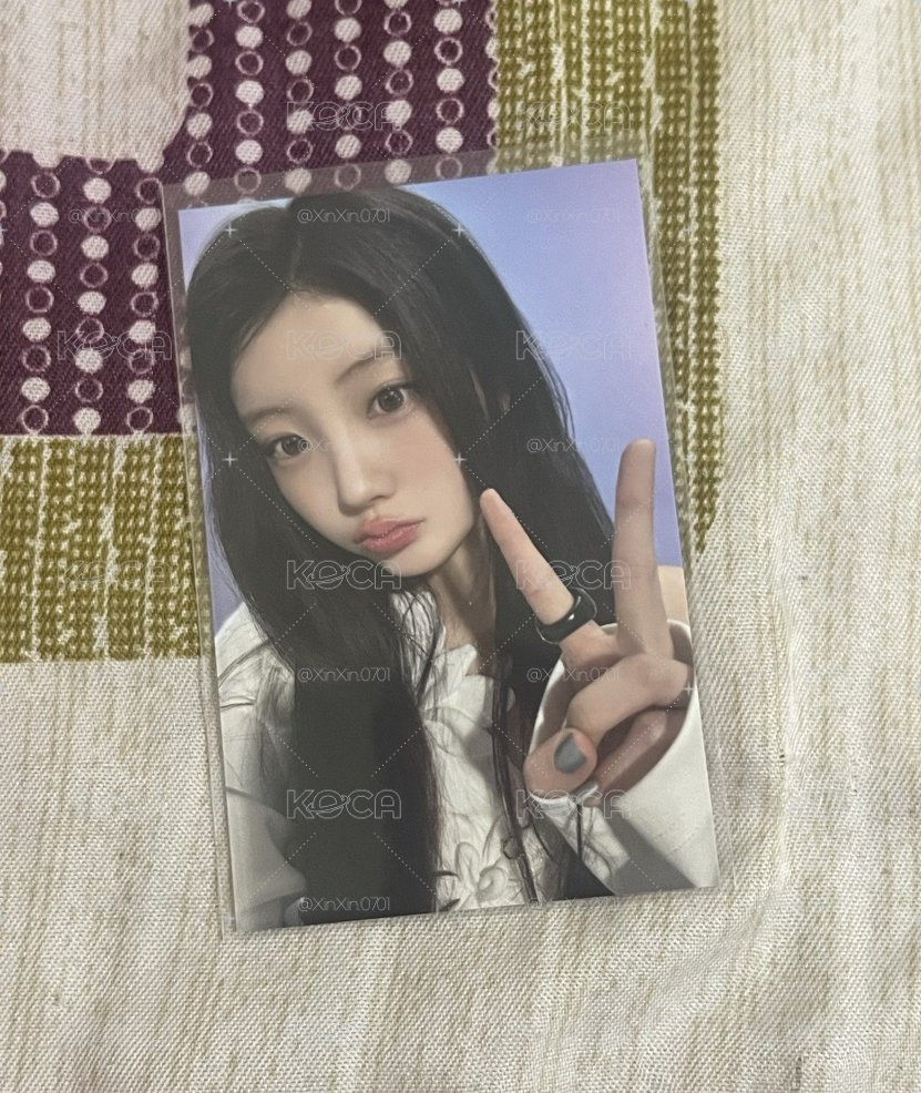 滿額禧 可愛的豚鼠寶寶