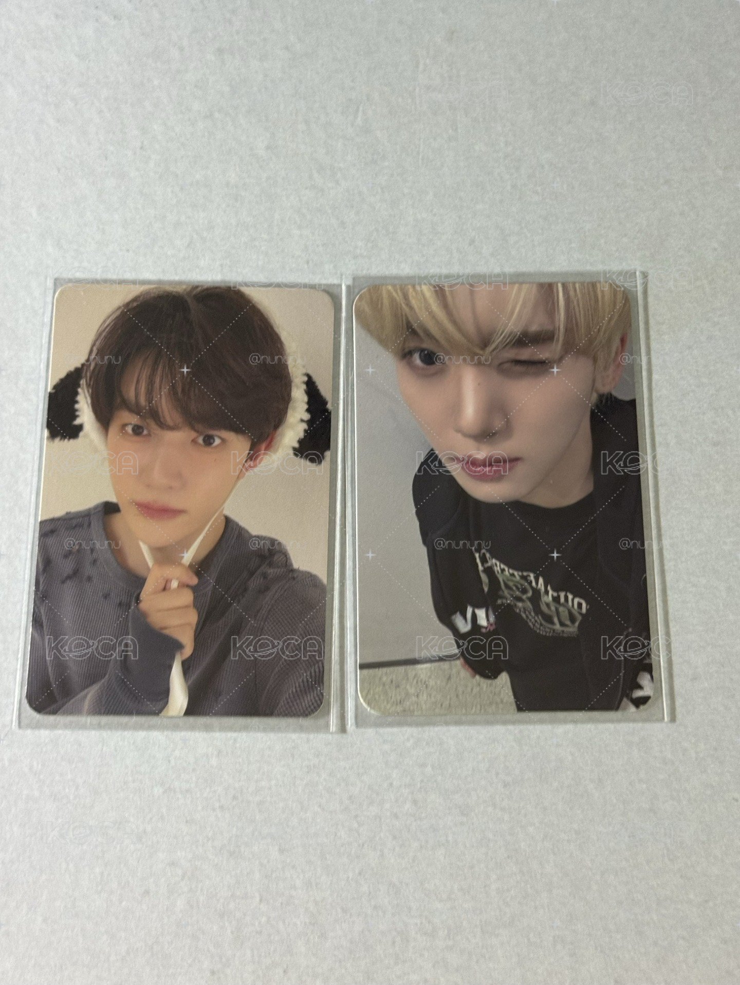 小狗耳朵昊 金髮辰