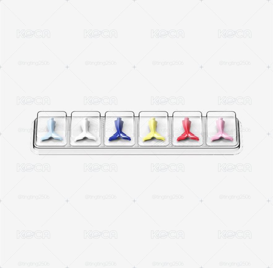 預購 NMIXX 鯨魚尾巴